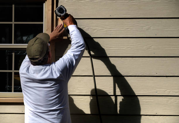 Affordable Siding Repair and Maintenance Services in Belmar, NJ